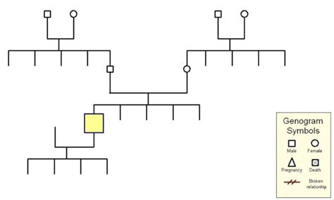 hoe maak je een genogram|Inzicht in je familiesysteem: Maak je eigen genogram